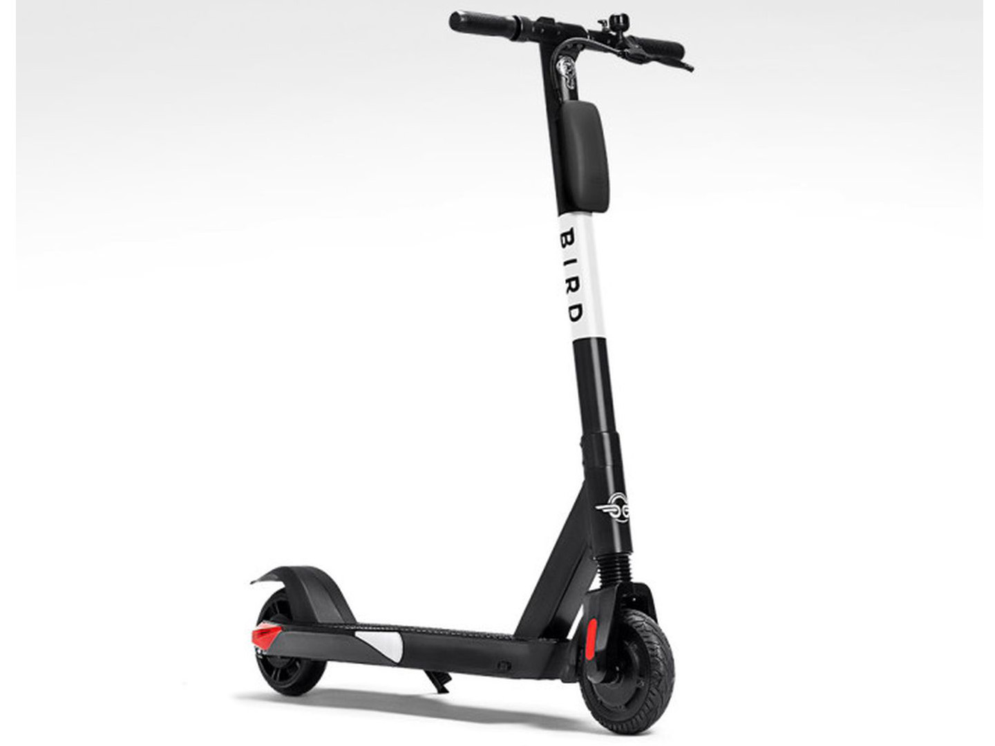 Bird scooter