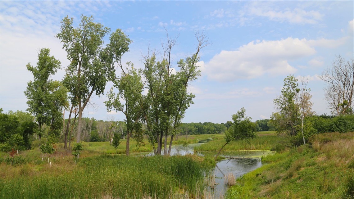 Bass Lake preserve