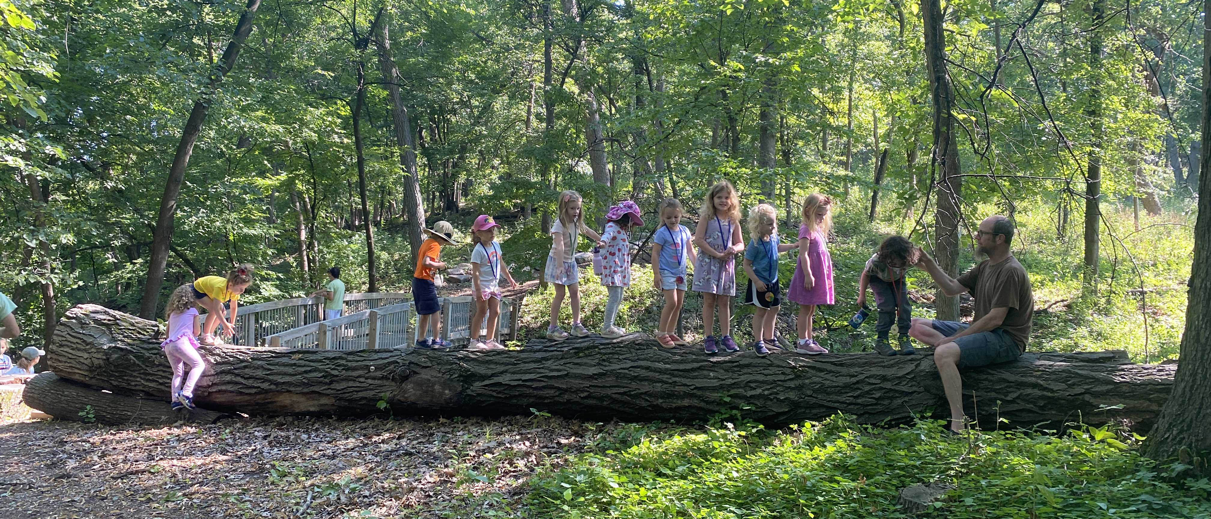 Kids walking across down tree trunk in nature center.