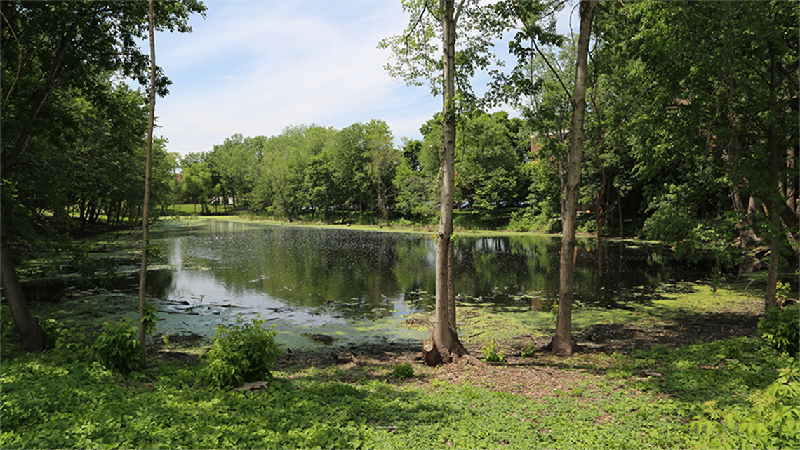 otten pond